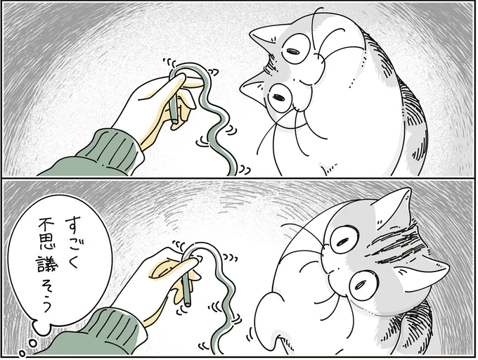 すごく不思議そう