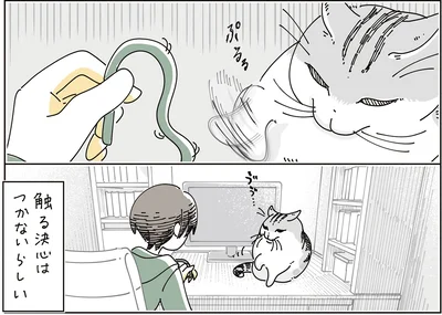 触らない