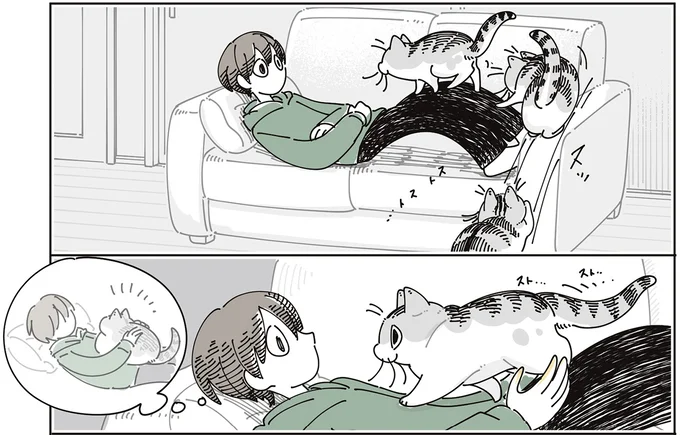お腹の上に