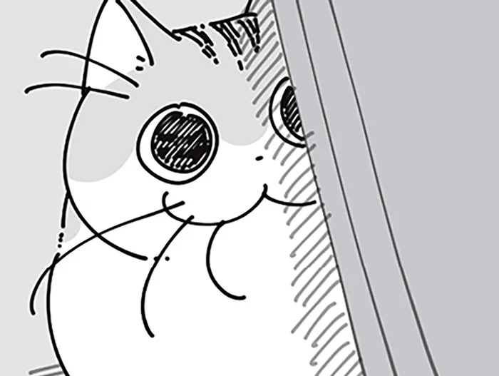 「ここなら届くまい」飼い主がネコに捕まる距離、意外と読めない説