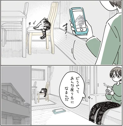 どうやってあんな座り方になるんだ