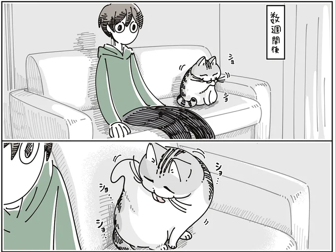 数週間後