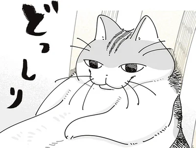 どっしり
