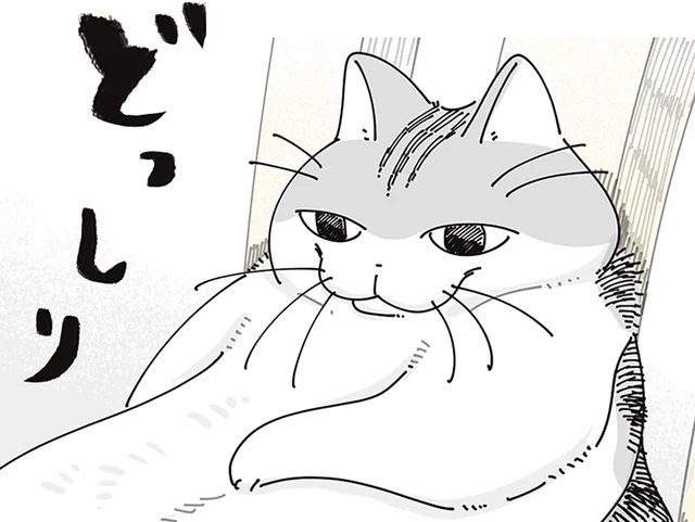 人みたいにどっしり座っているネコ。どうやったらその座り方になるのか