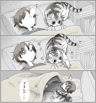 入るんか…？