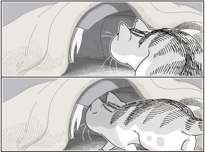 布団の中に…