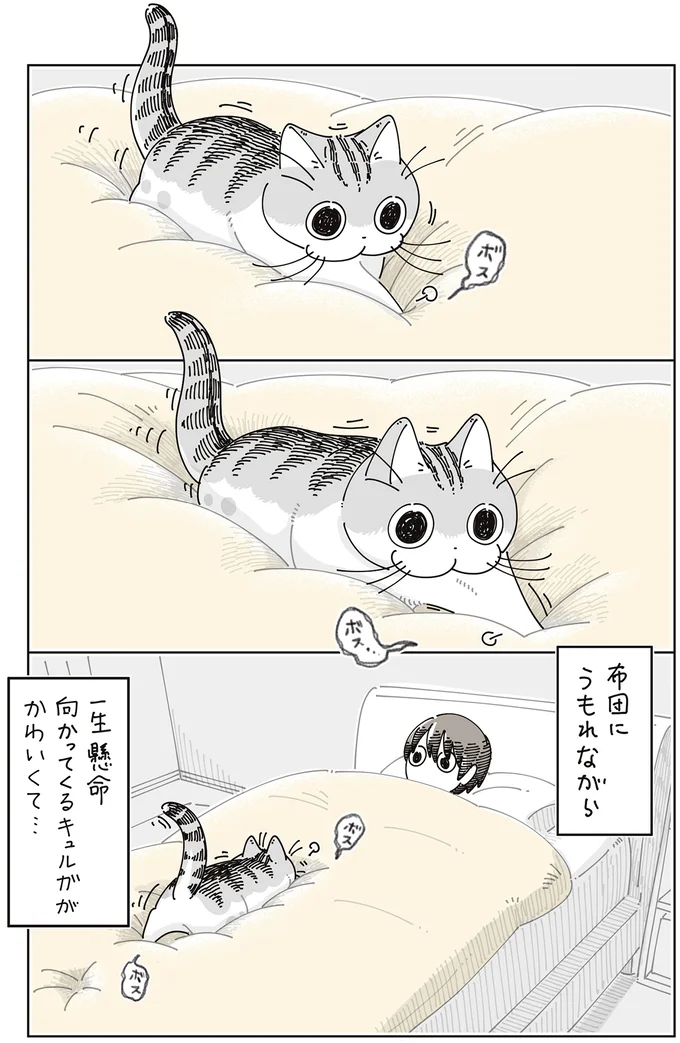 布団にうもれながら