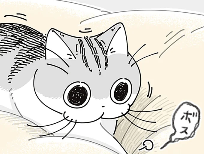 踏みしめて