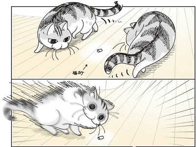 猫砂に