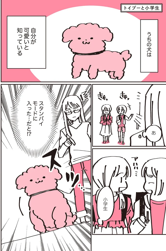 『うちのトイプーがアイドルすぎる。』より