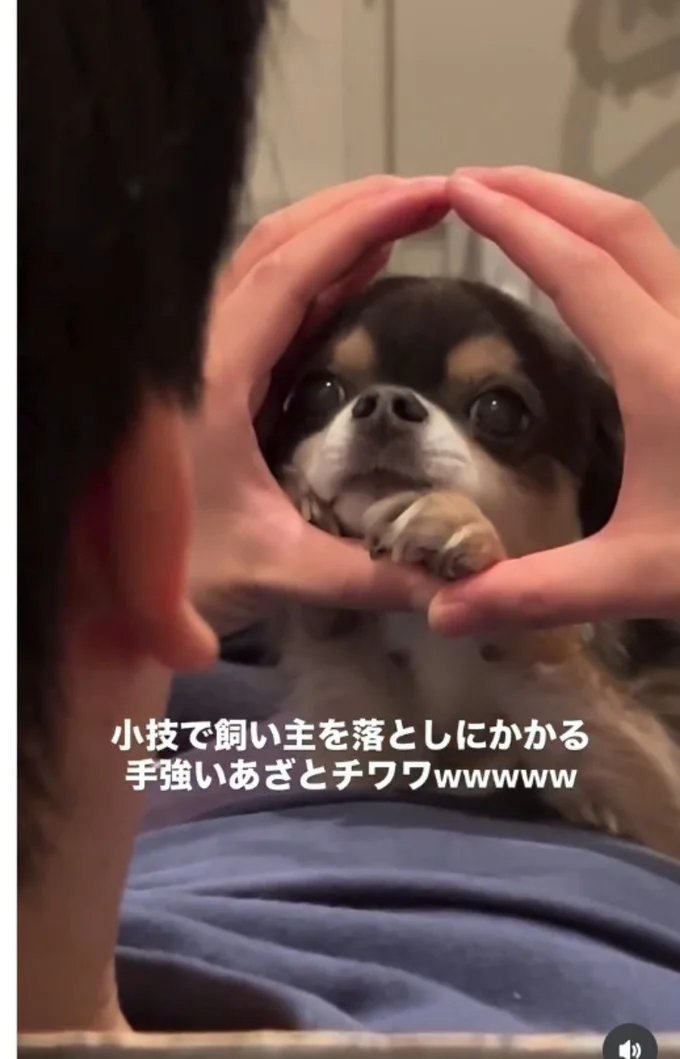 熱い視線!▶くいっと顔を上げ…(⇒次へ)