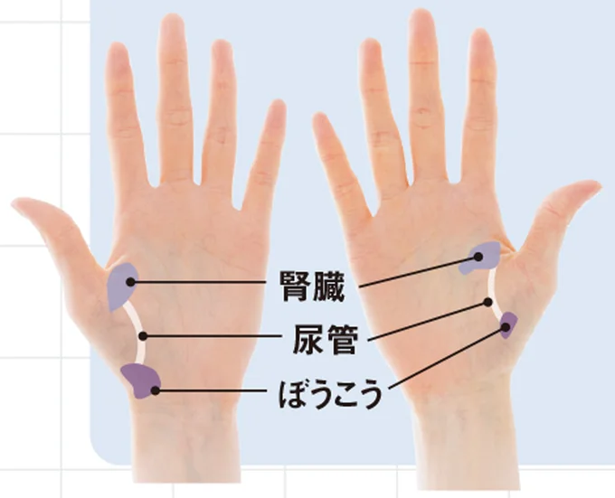 血液やリンパの巡りも整い、冷えにくい体へ