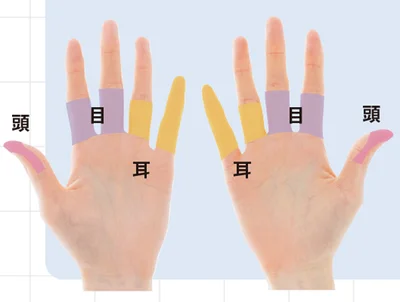 指は頭、目、耳と頭痛に関係する反射区が並んでいます