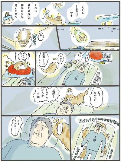 『天国での暮らしはどうですか』より