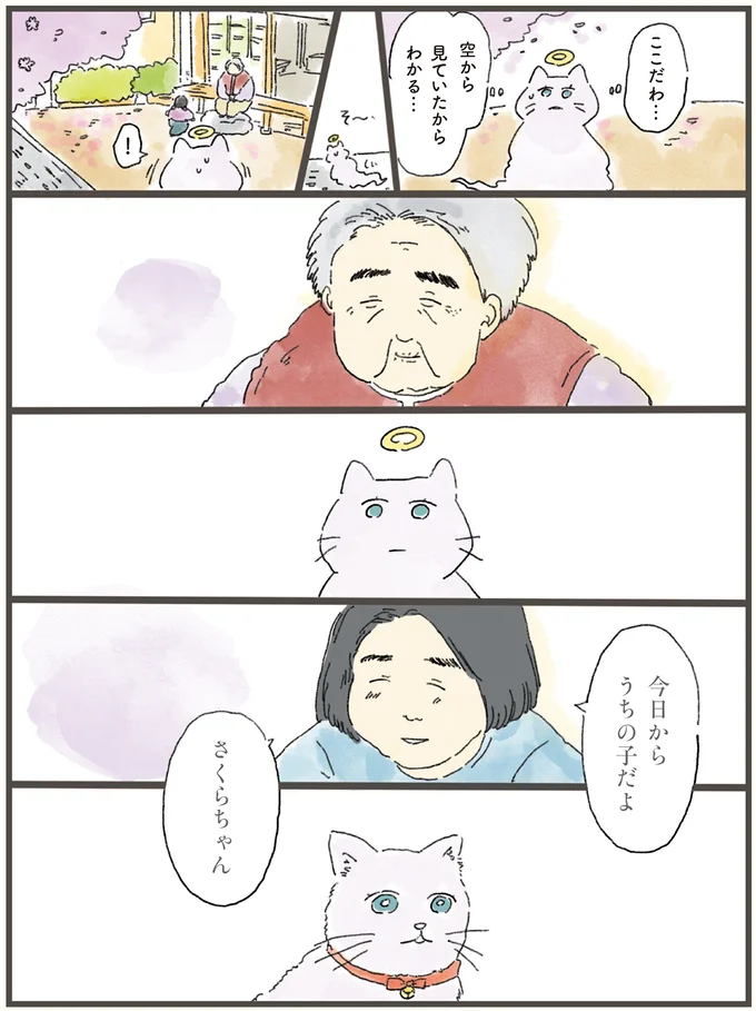 『天国での暮らしはどうですか』より