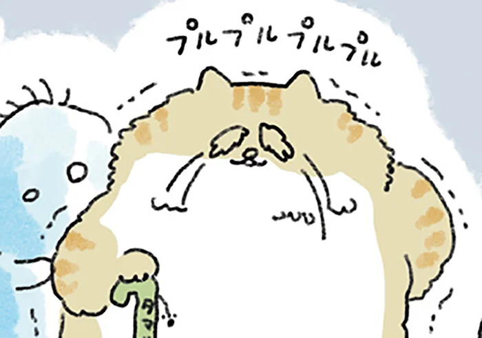 明日この世を去る老猫。飼い主を想い続けた末に選んだ「不幸」とは