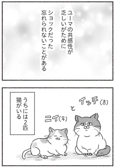 『夫と心が通わない カサンドラ症候群で笑えなくなった私が離婚するまでの話』より
