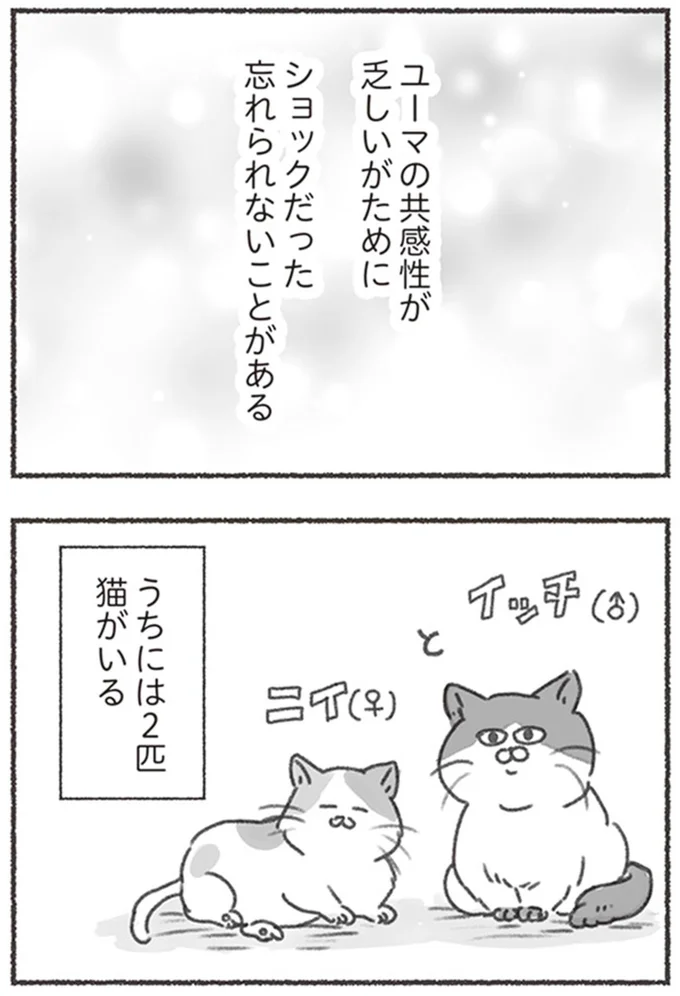 『夫と心が通わない カサンドラ症候群で笑えなくなった私が離婚するまでの話』より