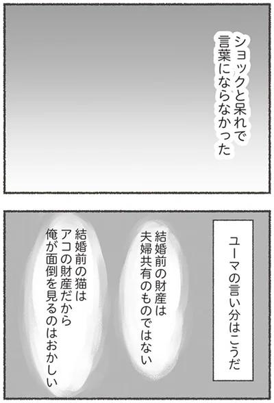 『夫と心が通わない カサンドラ症候群で笑えなくなった私が離婚するまでの話』より