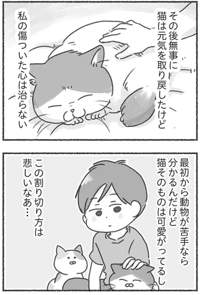 『夫と心が通わない カサンドラ症候群で笑えなくなった私が離婚するまでの話』より