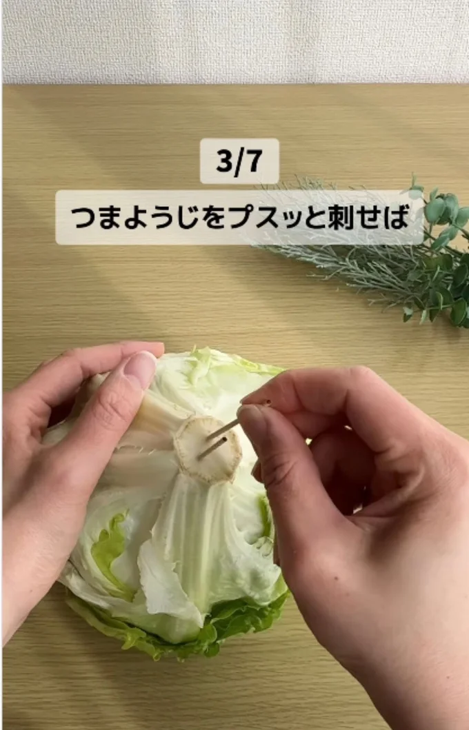レタスの芯に爪楊枝を刺すと長持ちする▶ラップにソースがつかない!(⇒次へ)
