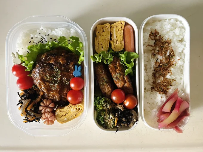 煮込みハンバーグの入ったお弁当▶お弁当の時間が楽しみになりますね（⇒次へ）