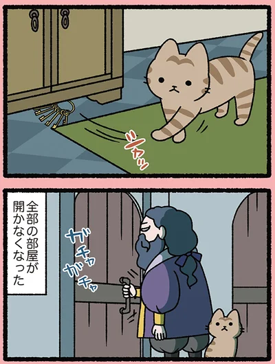 シャッ