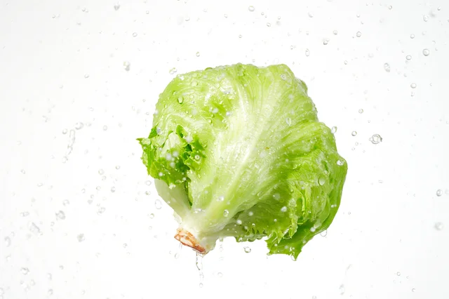 待ってました！レタスの値段がやっと平均以下に！【野菜価格動向】