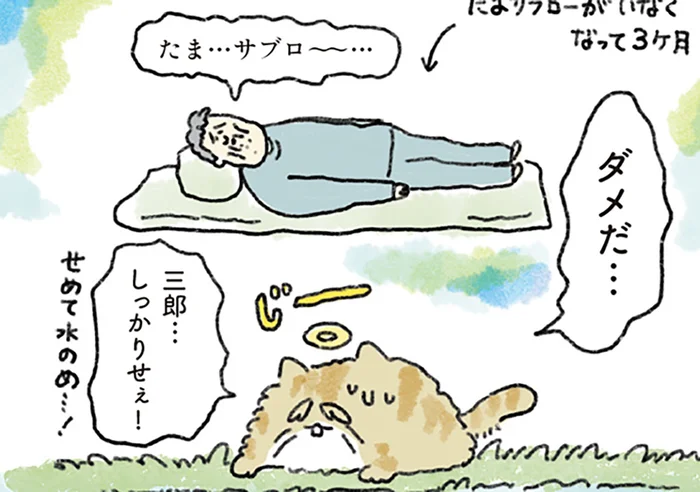 ペットロスで寝込み続ける飼い主へ。老猫が天国から届けにいった一度きりのメッセージ