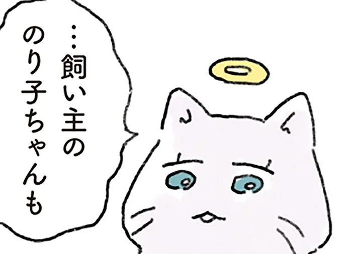 わずか3ヶ月の絆。それでも猫が忘れなかった、飼い主とのあたたかな思い出