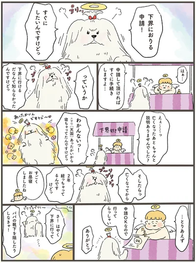 下界に行けるだなんて知らなかったんですけどっ