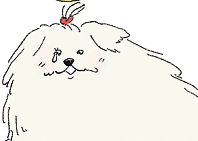 ただいま、私の家。天国から戻ったペットが見つめた、飼い主の新しい日常