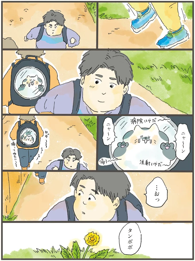 …おっタンポポ