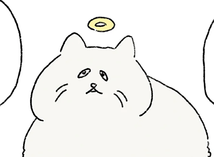 どうしても飼い主に伝えたくて。天国の猫が届けたかったメッセージとは