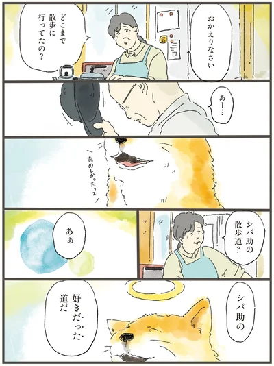 どこまで散歩に行ってたの？