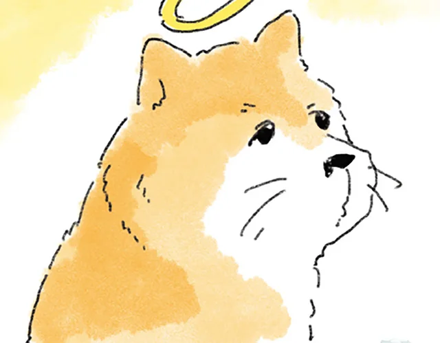 亡き愛犬が好きだった散歩道。「もしかしたら、ひょっこり…」を願って歩いたら