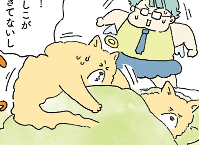 「最期の瞬間を一緒に」旅立つはずの愛犬が、天使を引き止めて待った人