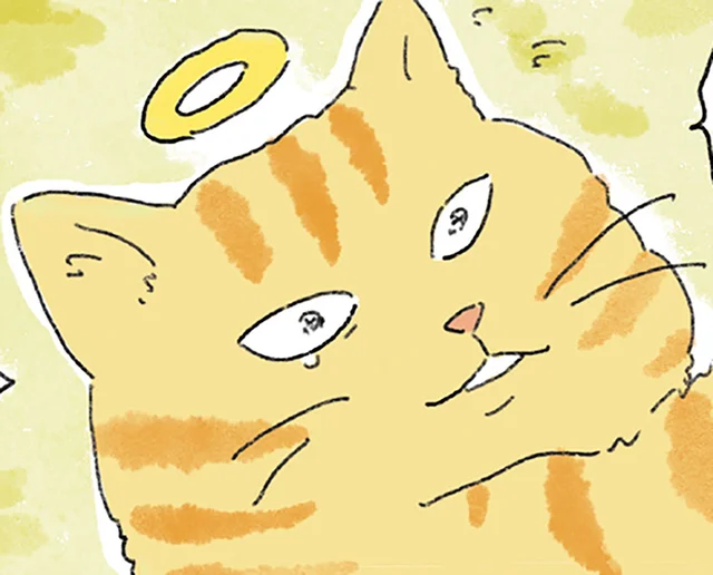ベッドも水入れも片付けられないまま。悲嘆に暮れる飼い主の元へ、亡き猫が帰った日
