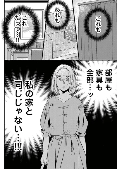 『ドッペルマリッジ　夫には妻が2人います1』より