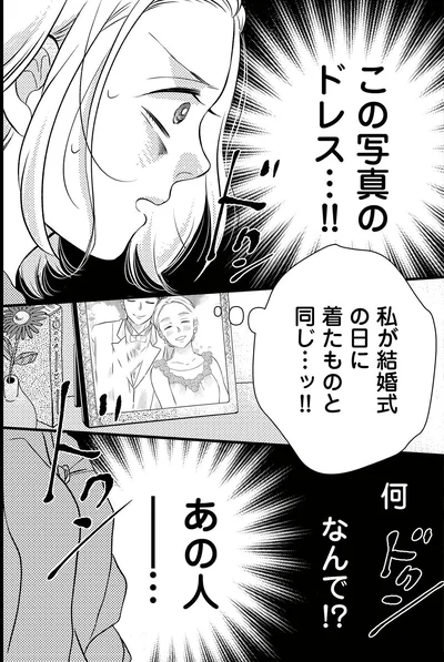 『ドッペルマリッジ　夫には妻が2人います1』より