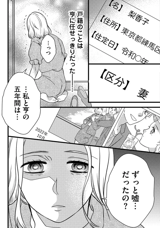 『ドッペルマリッジ　夫には妻が2人います1』より