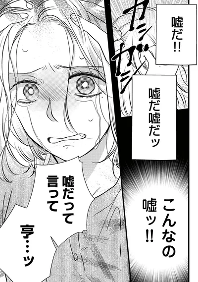 こんなの嘘ッ！！