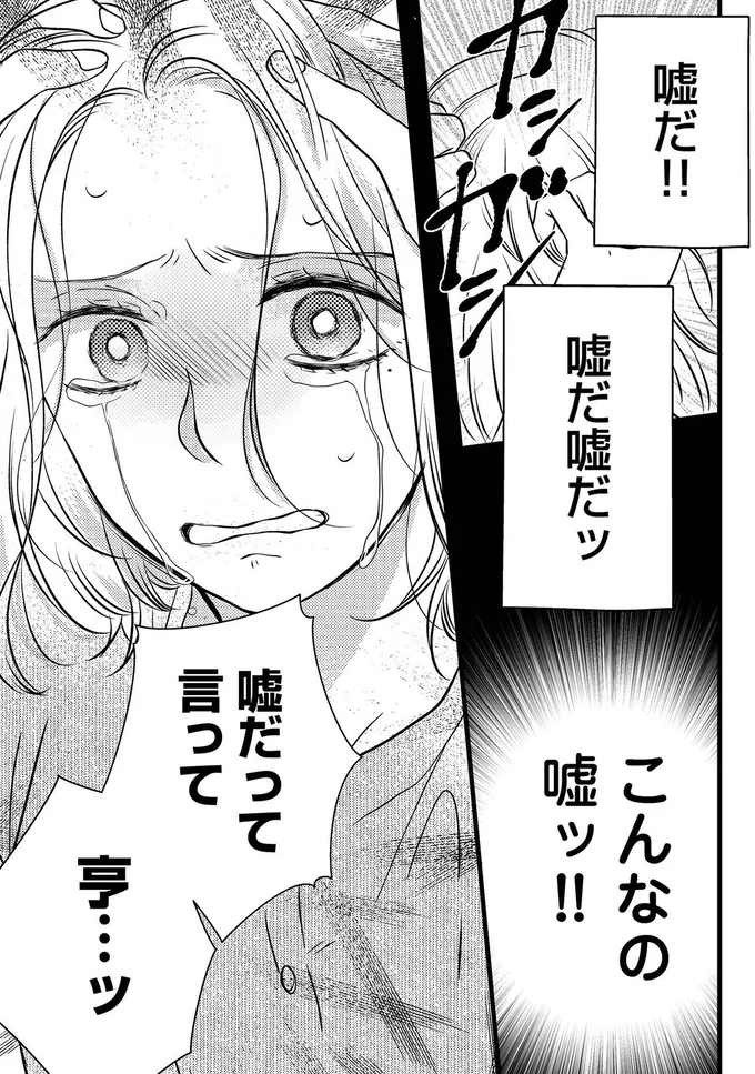 こんなの嘘ッ!!