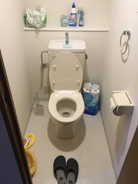 息子のトイトレ開始は掃除から！ トイレを清潔に保つテクを実践してみた