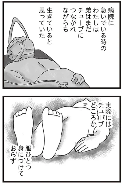 『16歳で帰らなくなった弟』より