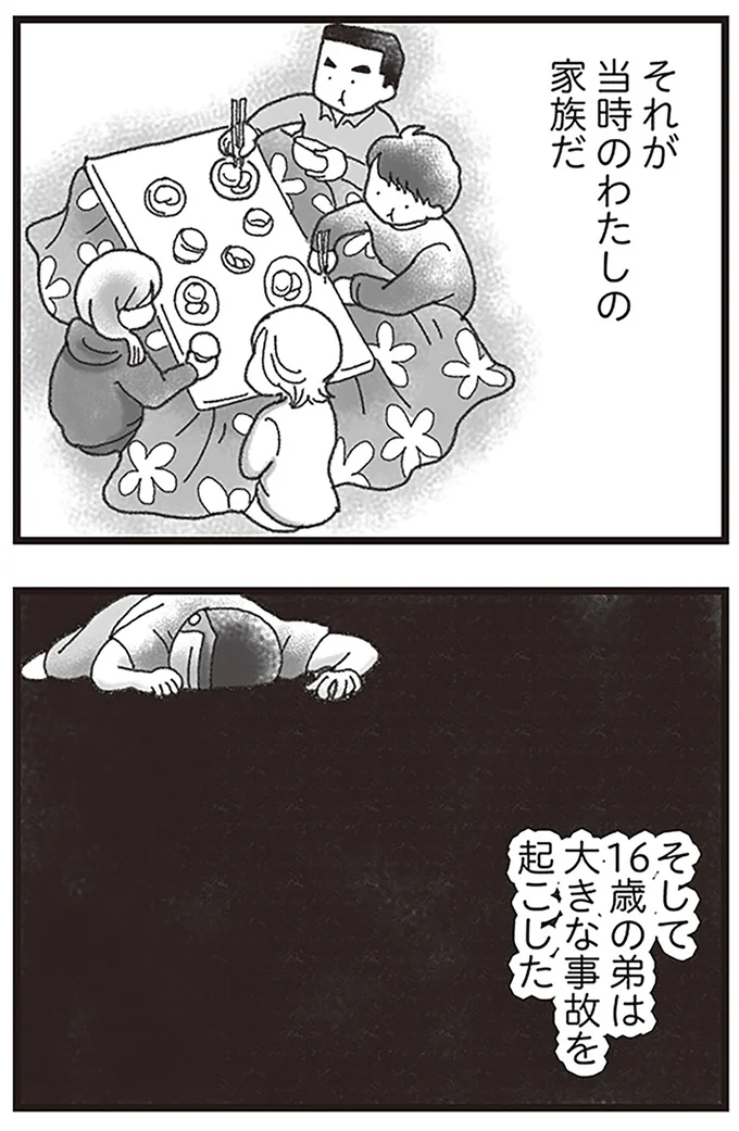 『16歳で帰らなくなった弟』より