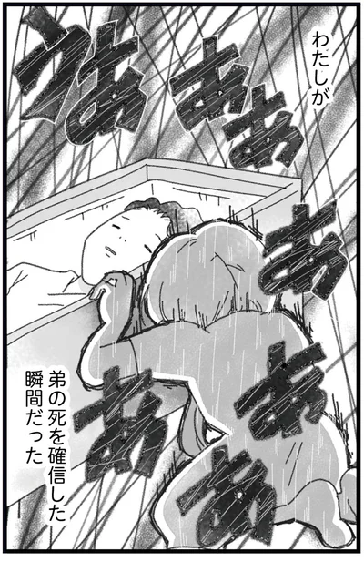『16歳で帰らなくなった弟 外伝』より