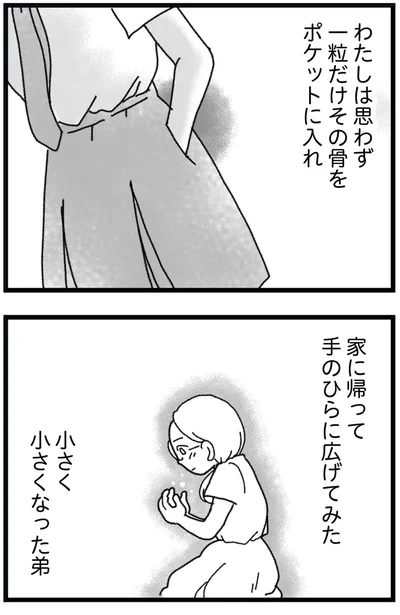 『16歳で帰らなくなった弟 外伝』より