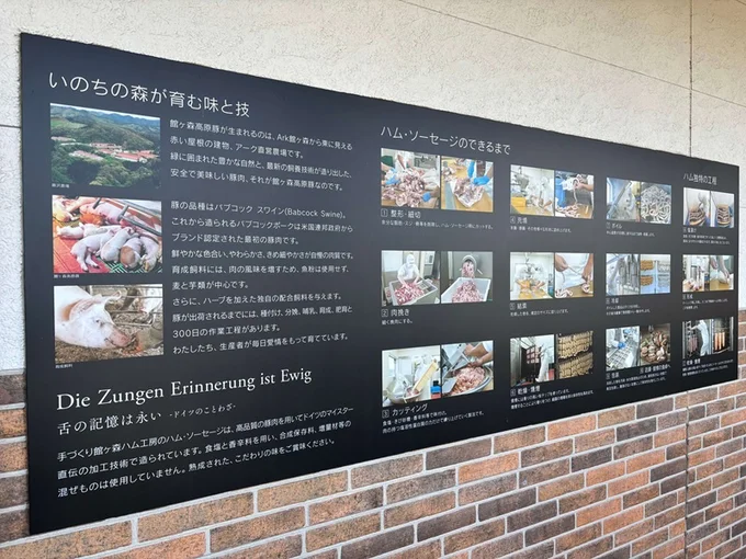 「館ヶ森牧場(Ark館ヶ森)」は家族で遊べる体験型施設
