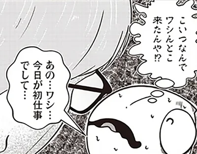 こいつなんでワシんとこ来たんや！？